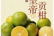 廣西皇帝柑哪里產(chǎn)(廣西皇帝柑和德慶皇帝柑哪個好)