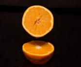 柑橘栽培技術(shù)培訓(xùn)方案范文怎么寫(xiě)好（柑橘種植技術(shù)講座）