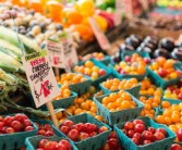 華美七號柑橘樹苗價格多少？2023年最新市場行情解析