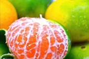 桂林特早柑橘種植技術(shù)_很多人盲目跟風(fēng)種植殺人橘子