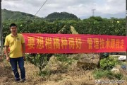 廣西柑橘種植技術圖片及價格_2021年12月份柳州有什么果可搞 廣西柑橘種植技術圖片及價格_2021年12月份柳州有什么果可搞