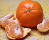 四川柑橘苗什么時(shí)間蓋地膜最好？最佳時(shí)機(jī)與操作要點(diǎn)解析