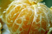 元江柑橘特早熟：北緯23°陽光味，品質(zhì)領(lǐng)鮮搶鮮上市