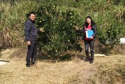 柑橘種植技術(shù)與施肥_柑橘樹能長(zhǎng)多高 柑橘種植技術(shù)與施肥_柑橘樹能長(zhǎng)多高