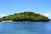 宜賓沃柑基地：長(zhǎng)江畔萬畝示范園豐收喜人，甜蜜產(chǎn)業(yè)鋪就鄉(xiāng)村振興新篇章