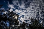 柑橘烏云網(wǎng)易云背景圖｜氛圍感情緒美學(xué)手機(jī)壁紙創(chuàng)意靈感
