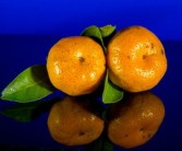 中國(guó)哪兒柑橘好吃（哪里盛產(chǎn)柑橘）