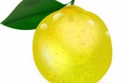 全球天價(jià)柑橘榜單出爐：揭秘果界奢侈新貴最貴柑橘排行榜
