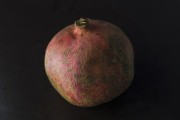 柑橙子哪個(gè)好吃？口感營(yíng)養(yǎng)全方位對(duì)比評(píng)測(cè)