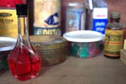 嫁接柑橘樹多久去膜？關(guān)鍵時間節(jié)點與養(yǎng)護技巧解析