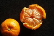 柑橘怎樣種植果皮才?。空莆杖箨P(guān)鍵栽培技術(shù)實現(xiàn)薄皮優(yōu)質(zhì)果