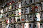 愛媛果凍橙市場多少錢一斤？2023年產(chǎn)地直銷價格行情速遞