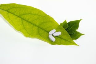 柑橘樹(shù)落葉黃葉用什么藥治(柑橘黃葉落葉是什么?。? /></p><p>若是葉片中嚴(yán)重缺少鋅或者是鐵元素,都會(huì)導(dǎo)致柑橘樹(shù)的葉子出現(xiàn)發(fā)黃現(xiàn)象,此時(shí)可以使用稀釋1000倍的 *** 鋅溶液擦拭葉子,可以有效改善黃葉問(wèn)題,擦拭的時(shí)間可以每隔3天左右進(jìn)行一次即可。</p><p>柑橘樹(shù)葉子發(fā)黃補(bǔ)救 *** 剪去黃葉 柑橘樹(shù)的葉片發(fā)黃,有可能是因?yàn)槠湫玛惔x而產(chǎn)生的自然黃葉現(xiàn)象,這是完全正常的生理現(xiàn)象,不需要額外的進(jìn)行什么多余的 *** 作,只需要用剪刀將那些過(guò)于老舊的葉片和黃葉一起剪掉即可,很快就會(huì)重生出新的葉片的。</p><p style=