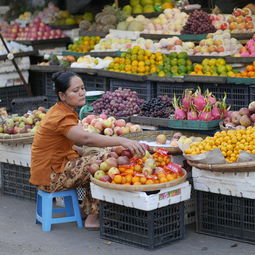 柑橘有哪些病害用什么藥(柑橘通常有哪些?。? /></p><p>據(jù)在四川觀察,3~5月,一般在柑橘開花前后大量發(fā)生,出現(xiàn)之一次螨口高峰;廣東地區(qū),在立春后天氣轉(zhuǎn)暖時,越冬卵出現(xiàn)1~2個盛孵期。這時是防治次數(shù)最多的時期。9~11月秋梢抽發(fā)好的柑橘樹,還會發(fā)生第二次高峰。一般來說,春季的高峰比秋季的高峰嚴重,秋梢受害嚴重時,冬季會出現(xiàn)大量落葉。</p><h2 id='柑橘常見病蟲害防治'>柑橘常見病蟲害防治</h2><p>蚜蟲:主要危害柑橘的嫩葉、嫩枝和花蕾等部位,導(dǎo)致葉片卷曲、枯萎、花朵凋謝等癥狀。防治 *** :定期噴灑殺蟲劑;采用生物防治 *** ,如引入天敵昆蟲等。 紅蜘蛛:主要危害柑橘的葉片和果實,導(dǎo)致葉片變黃、脫落,果實變形、變色等癥狀。防治 *** :定期噴灑殺蟲劑;采用生物防治 *** ,如引入天敵昆蟲等。</p><p style=