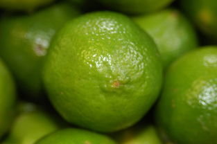 關沃柑標題+故事型文案例子:揭秘爆款農(nóng)產(chǎn)品文案創(chuàng)作秘訣