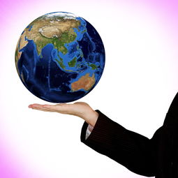 廣西武鳴沃柑苗出售直播：優(yōu)質(zhì)果苗基地直供，在線下單即享種植指導(dǎo)