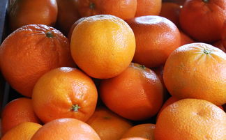 2023年四川十大柑橘品牌排名權(quán)威發(fā)布:品質(zhì)與口碑的巔峰對(duì)決