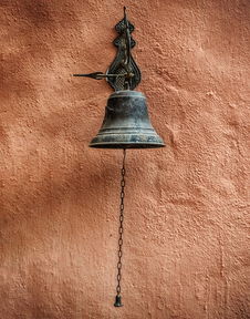 四川柑橘愛媛耙耙柑:果香濃郁皮薄肉厚的甜蜜之選