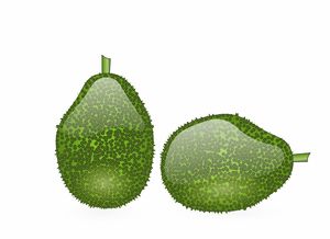 果中謎題：沃柑像叫什么果？別稱由來(lái)大揭秘