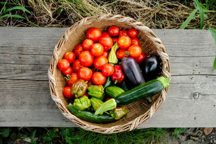 四川柑橘新品種甘平：品質(zhì)優(yōu)勢(shì)凸顯助推產(chǎn)業(yè)升級(jí)