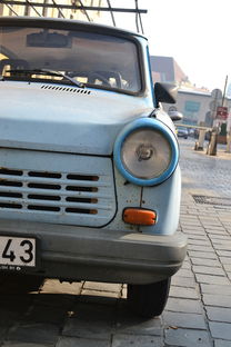 2023年沃柑基地最新信息：豐收動(dòng)態(tài)與技術(shù)升級(jí)全面解析