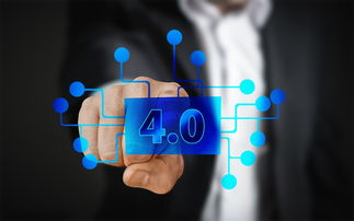 某縣關(guān)柑橘產(chǎn)業(yè)發(fā)展現(xiàn)狀與市場前景調(diào)查報(bào)告范文