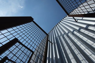 柑橘十大區(qū)域品牌：發(fā)展現(xiàn)狀與市場(chǎng)影響力深度解析