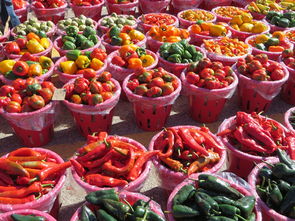 【高清實拍】南瓜柑視頻素材合集:田園美食Vlog剪輯必備創(chuàng)意資源