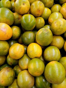 四川眉山柑橘事件:果農(nóng)滯銷困境折射中國農(nóng)產(chǎn)品供應(yīng)鏈隱憂