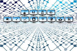 2024川津五號(hào)苗高接技術(shù)解析：嫁接要點(diǎn)與高產(chǎn)栽培指南