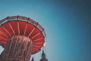 廣西柑橘價(jià)格最新行情:產(chǎn)銷動(dòng)態(tài)與價(jià)格走勢(shì)深度解析