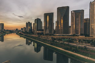 2023年全國產(chǎn)區(qū)柑橘最新價(jià)格行情走勢分析及市場前景預(yù)測