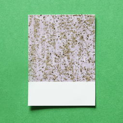 直擊紅美人柑橘樹苗基地直播:實(shí)地探秘珍稀果苗培育全過程