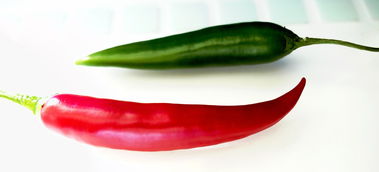 韓國(guó)柑橘品牌推薦TOP10:果香濃郁的健康之選與選購(gòu)指南