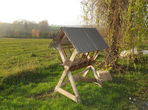 豐產(chǎn)村柑橘基地豐收?qǐng)D景：科技興農(nóng)繪就鄉(xiāng)村振興新畫(huà)卷