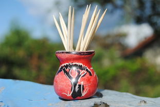 柑橘小盆栽可以嫁接嗎？詳解嫁接技巧與品種選擇指南