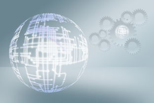 2024年沃柑價格暴跌原因深度解析:供需失衡與氣候沖擊的雙重困局