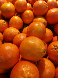 1月上市柑橘品種全解析：冬季時(shí)令果品與熱門產(chǎn)區(qū)品種推薦