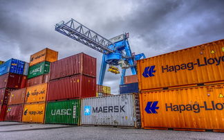 明日見柑橘多少錢一斤今年就近幾天價(jià)？最新市場(chǎng)行情速遞與價(jià)格走勢(shì)分析