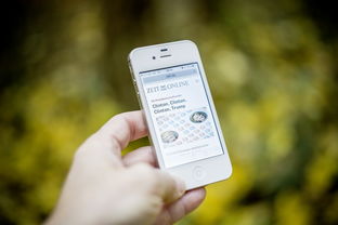 國家柑橘育種中心:科技賦能柑橘種業(yè)振興與產(chǎn)業(yè)升級