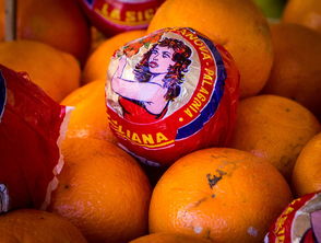 柑橘橙桔柚檸檬PO家族圖鑒:解密柑橘屬水果的多樣魅力與營養(yǎng)密碼