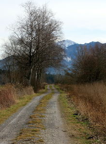 萬(wàn)畝柑橘基地航拍圖:俯瞰金秋豐收的生態(tài)農(nóng)業(yè)壯景