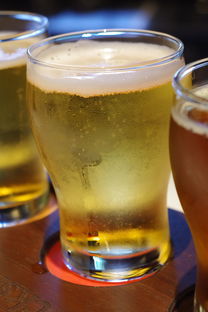 小柑橘什么茶種?全面解析其品種淵源與獨(dú)特沖泡技巧