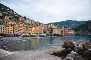 柑橘價格今日報價查詢：全國市場最新動態(tài)與實(shí)時更新一覽