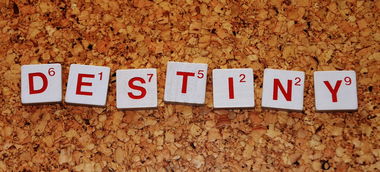 柑橘專(zhuān)用農(nóng)藥大全：科學(xué)防治技術(shù)與病蟲(chóng)害管理實(shí)用指南