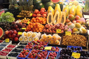 川津1號柑橘苗價格多少？2023年市場行情及最新報價解析