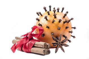 柑橘病蟲害發(fā)生規(guī)律一覽表:區(qū)域分布與季節(jié)動態(tài)詳解