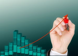 柑橘主枝與延長(zhǎng)枝區(qū)別解析及修剪管理技術(shù)要點(diǎn)