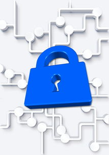 日本柑橘產(chǎn)業(yè)的創(chuàng)新發(fā)展路徑與全球化市場(chǎng)戰(zhàn)略解析