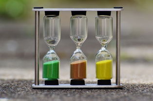 柑橘打完黃化營養(yǎng)液多久可以修剪？最佳修剪時間與操作要點解析